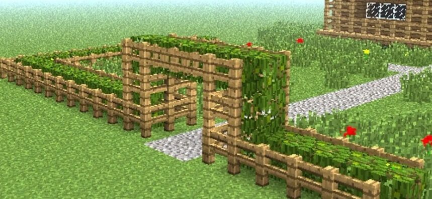 Minecraft fences